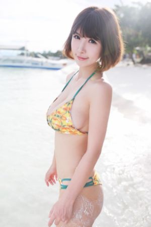 与君初相识 电视剧